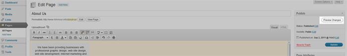 Preview Changes button on WordPress
